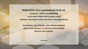 Naujienos „TĖVELIŲ SUSIRINKIMAS“ galerija. Nuotrauka 1 iš 1